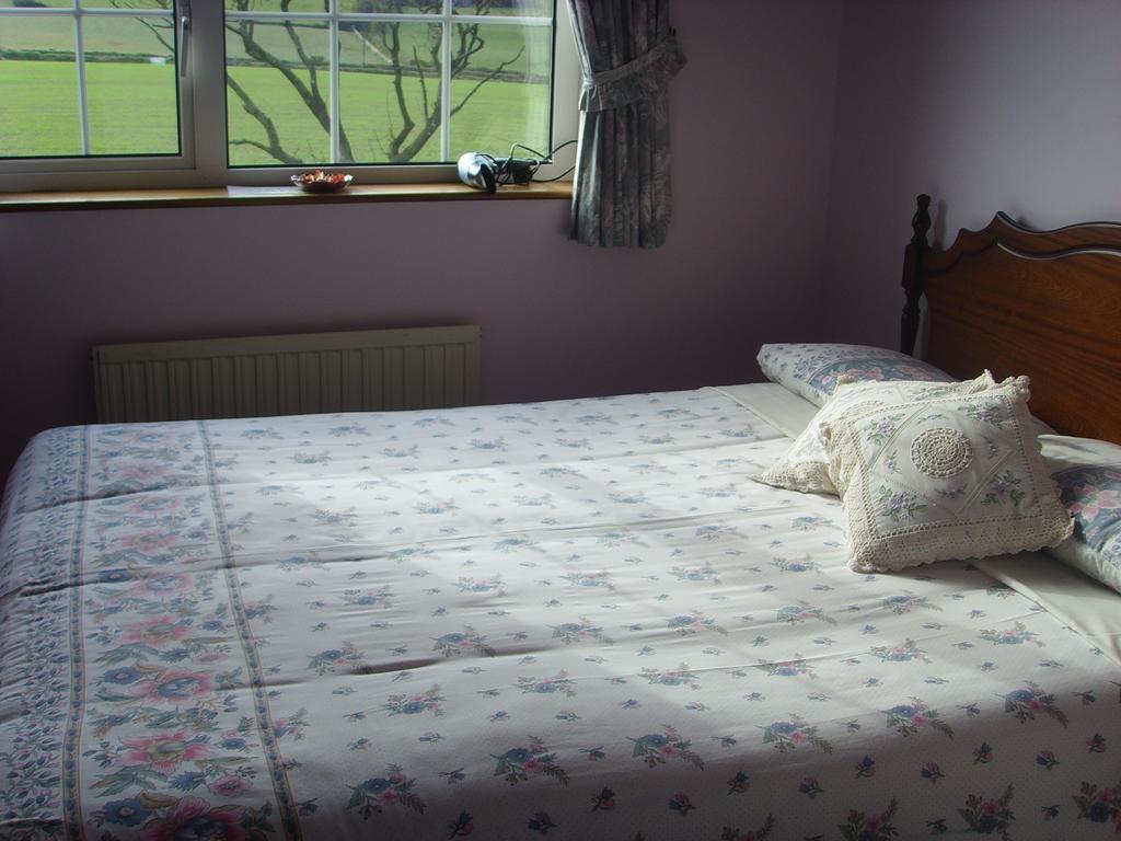 Springfield House B&B Clonakilty Ruang foto