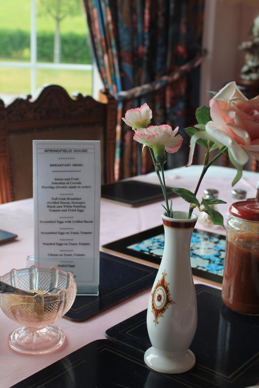 Springfield House B&B Clonakilty Bagian luar foto